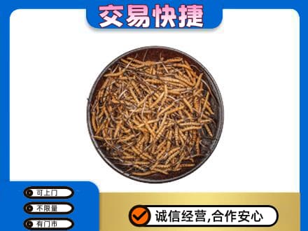 韶关曲江区高价回收散虫草